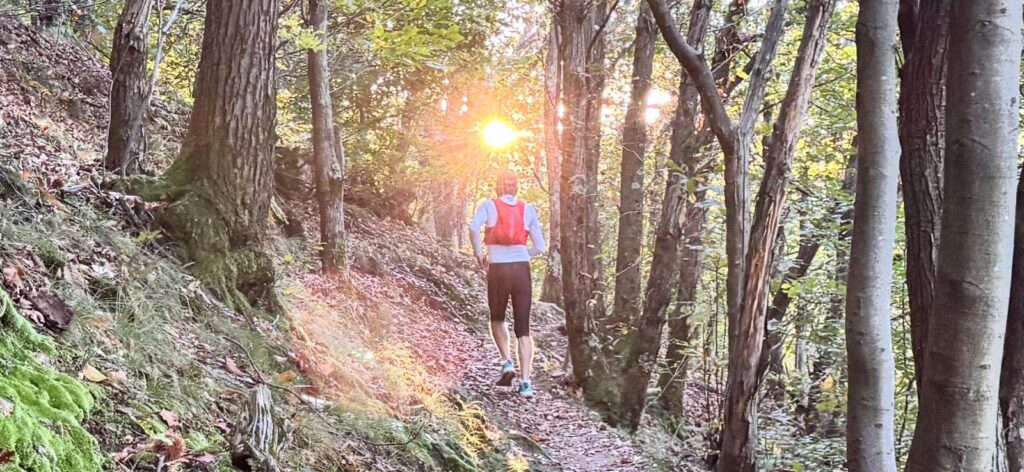 Escursionista percorre un sentiero nel bosco illuminato dal sole, in Ticino.