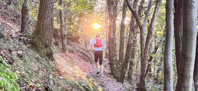 Escursionista percorre un sentiero nel bosco illuminato dal sole, in Ticino.